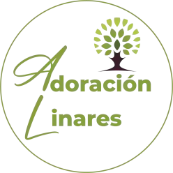 Médico Nutricionista en Granada